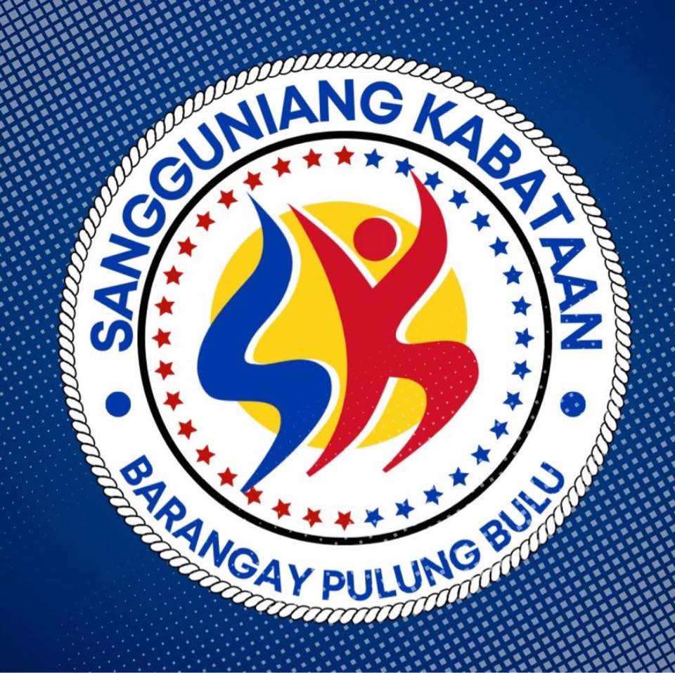 SK Barangay Pulung Bulu, CSFP | San Fernando
