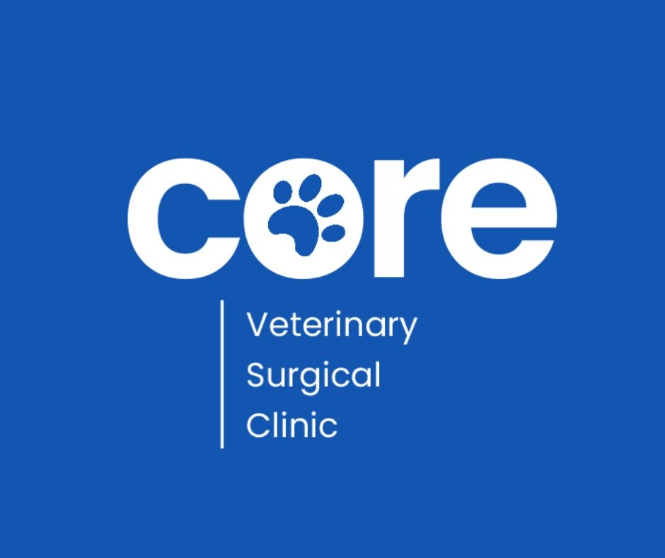 Core Veterinary Surgical Clinic | Plainville MA