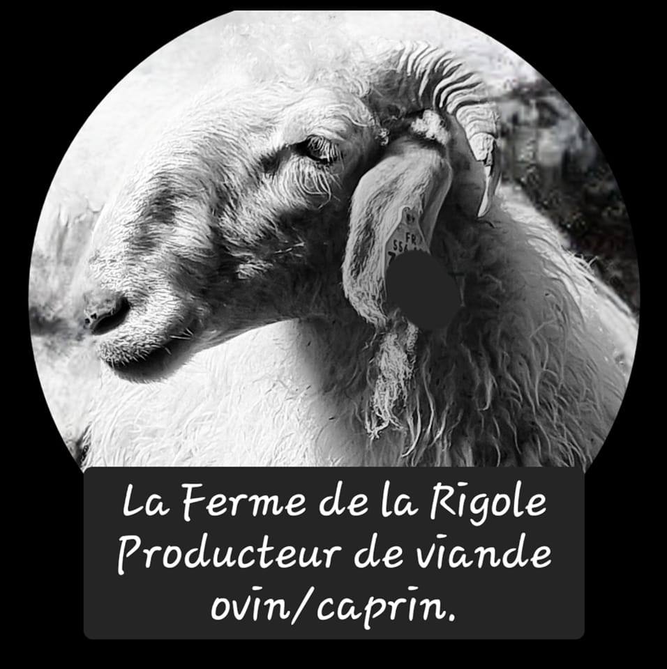 Ferme de la Rigole | Les Cammazes