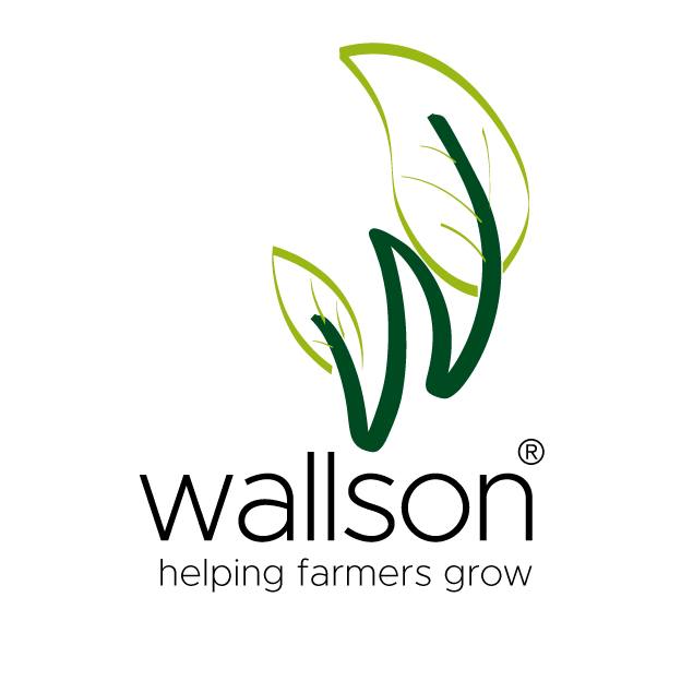 Wallson