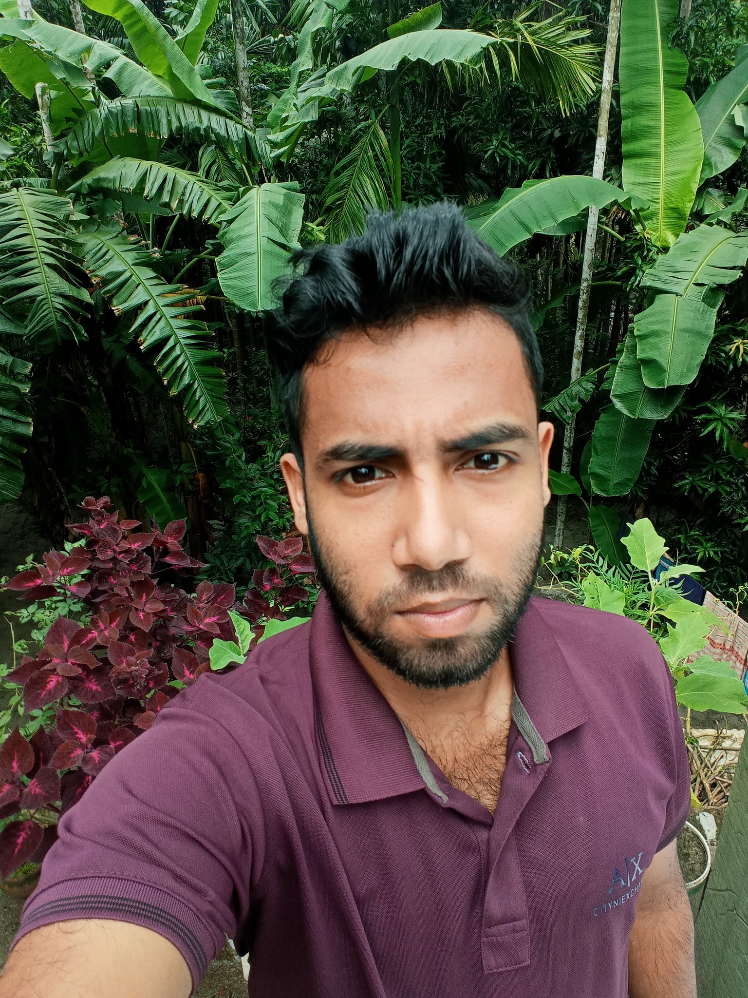 Musa vai 0011