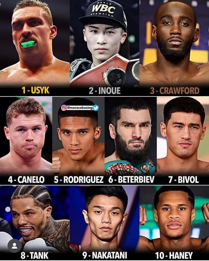 Boxing Journal | Arlington VA
