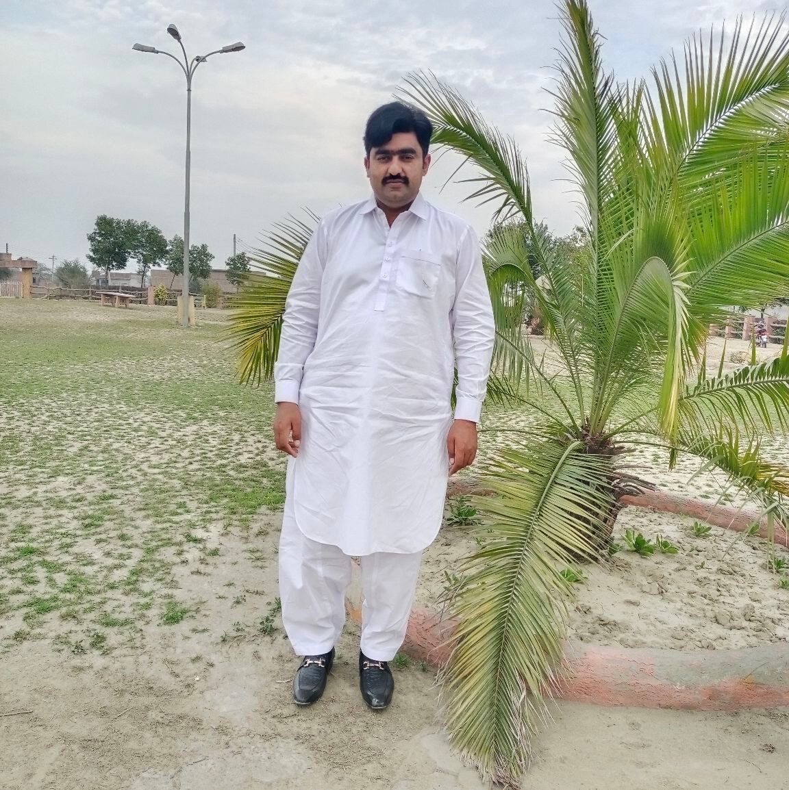 Javaid ranjha 517