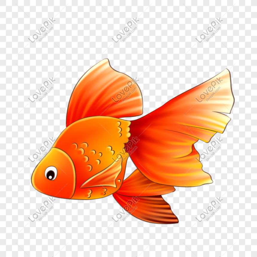 Mãi anti 9 con cá phờ lốp