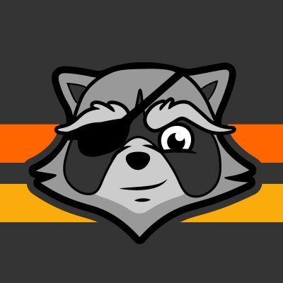 Raccoon Logic Studios | Montreal QC