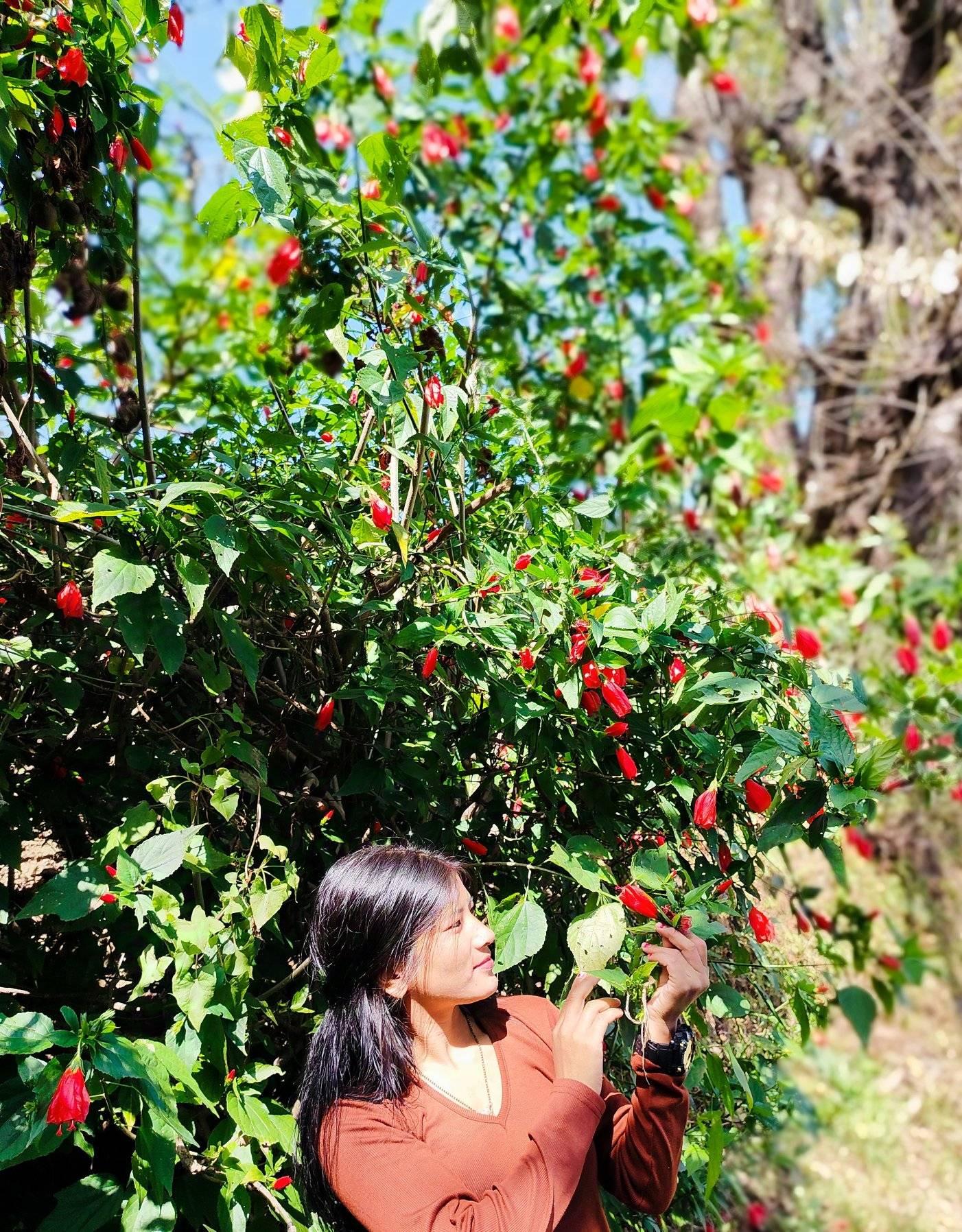 Samina Rana Magar (@samina.rana.magar.146544) • Facebook, Connect with ...