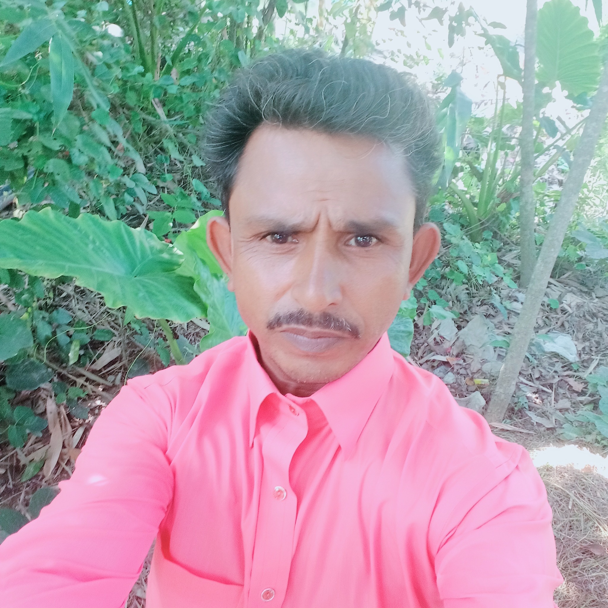 রতন হাচান