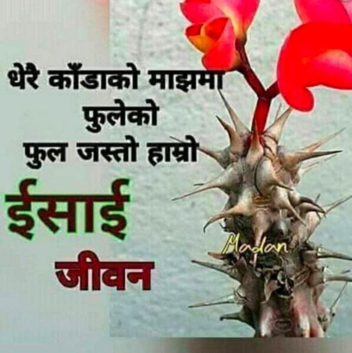 15th October Leo (सिंह): Royal Success & Great Respect!!!! ♌ #rashifal ...