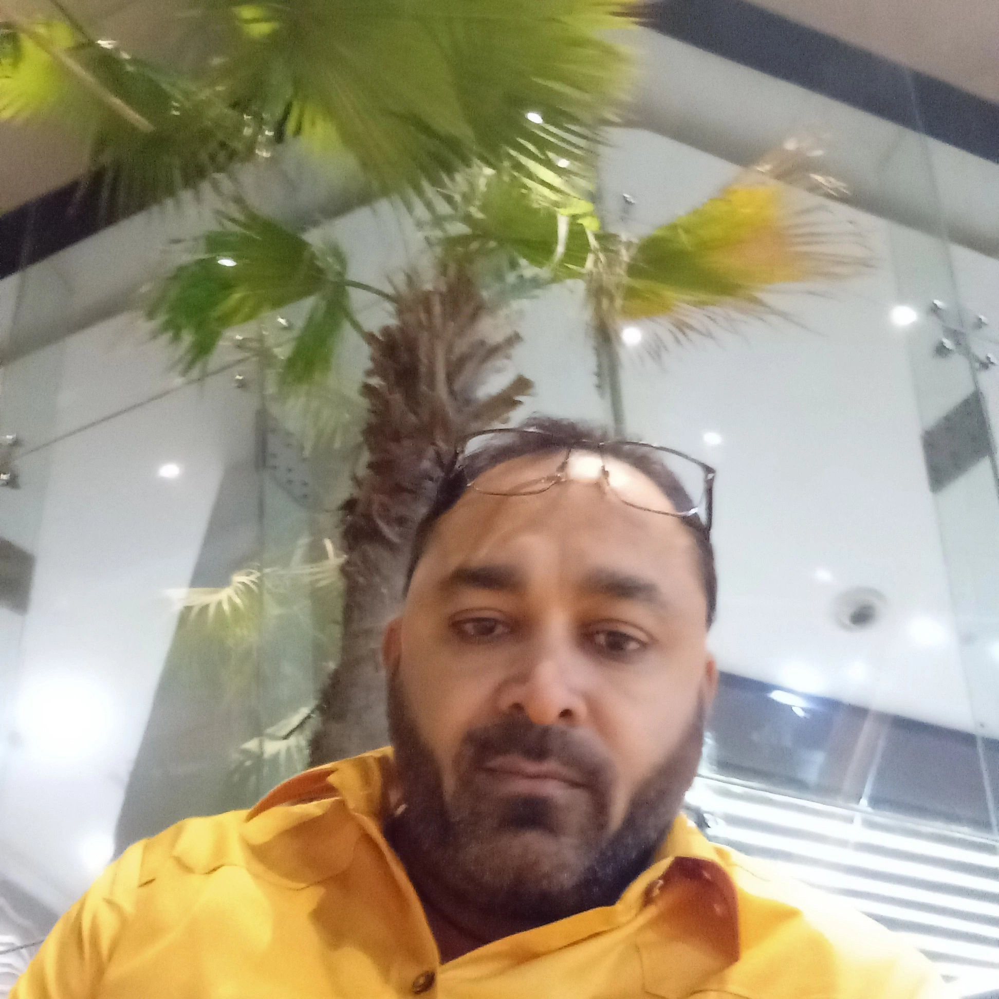 Shreyansh Shah #checkshirts #suitingshirting #reelstofeel #reels # ...