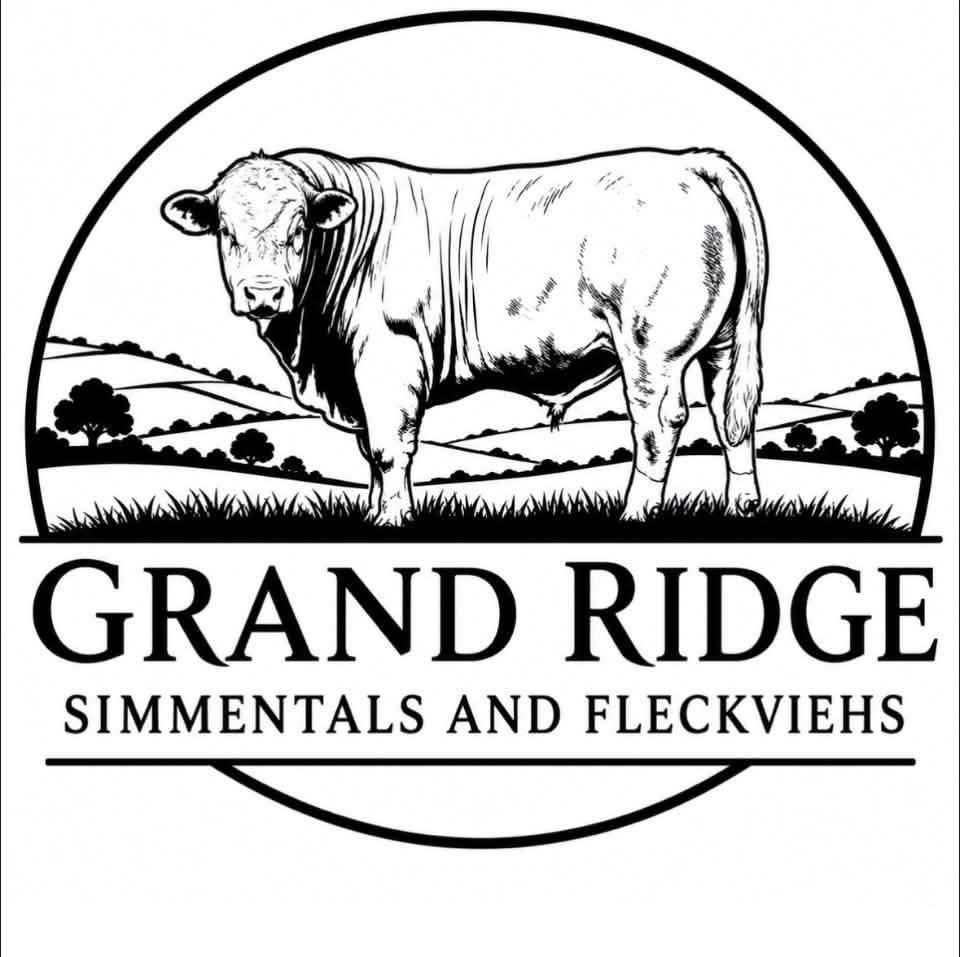 Trad... - Traditional Simmental Fleckvieh Society of Australia