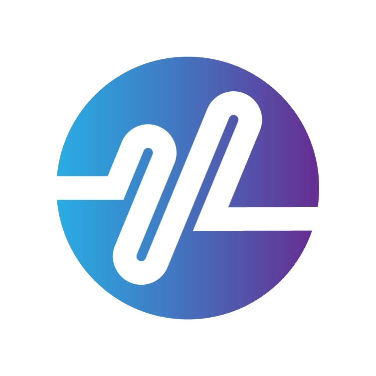 Pulsepay LLC