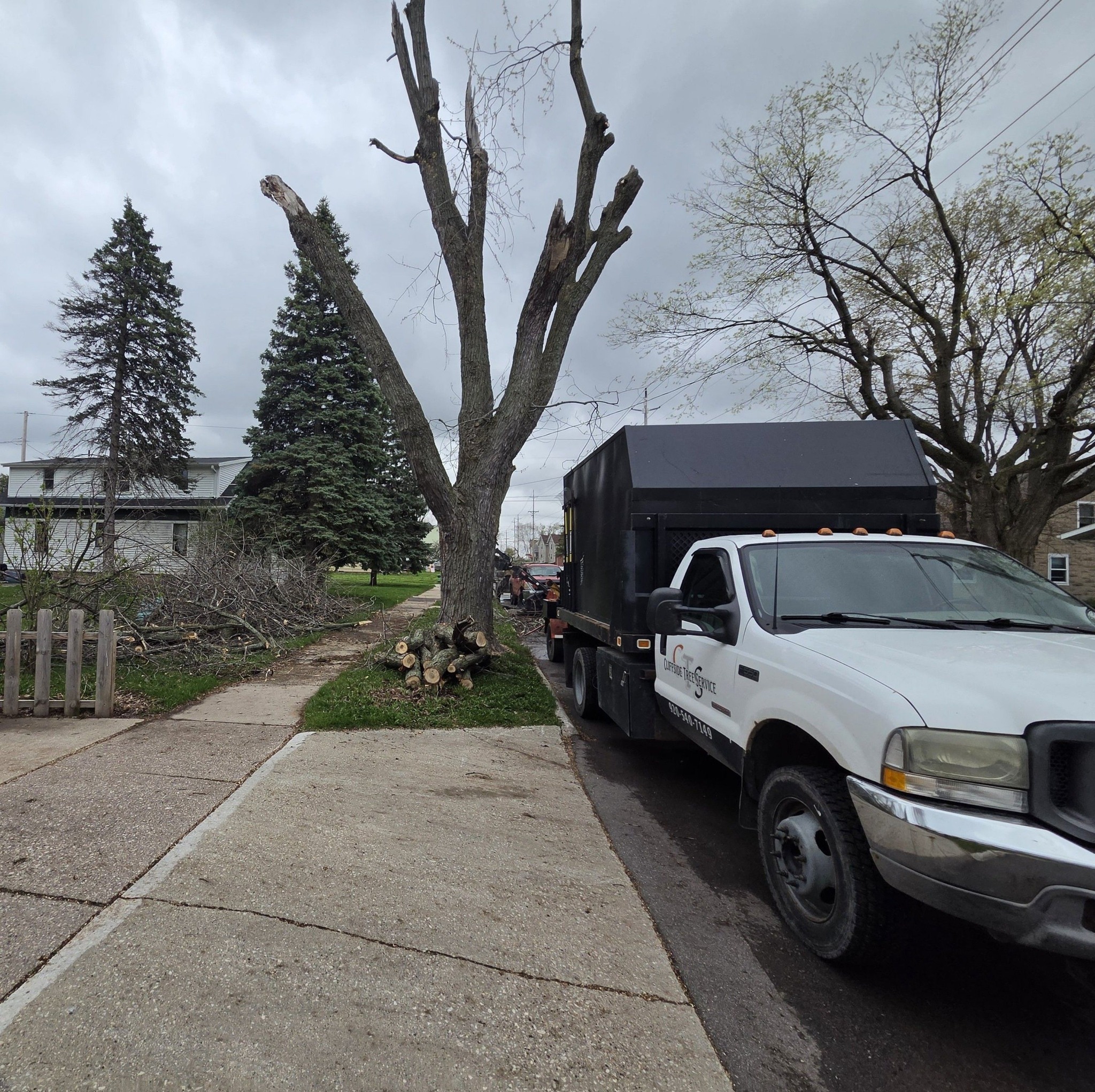 Cliffside Tree Service