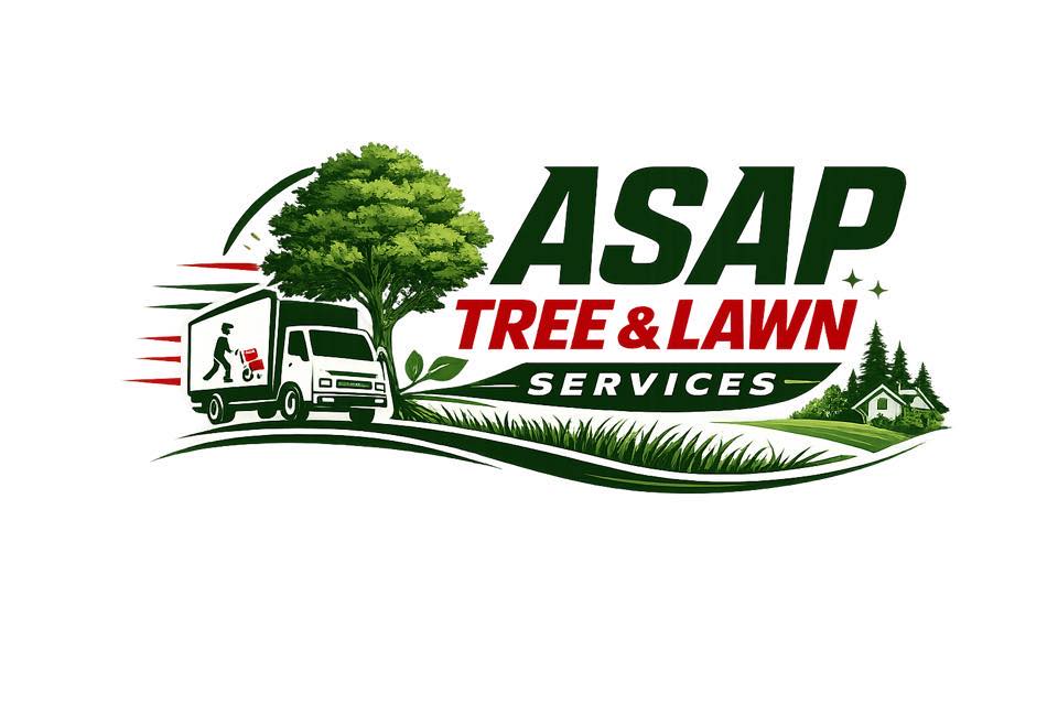 Asap Tree And Lawn Services | Austin TX