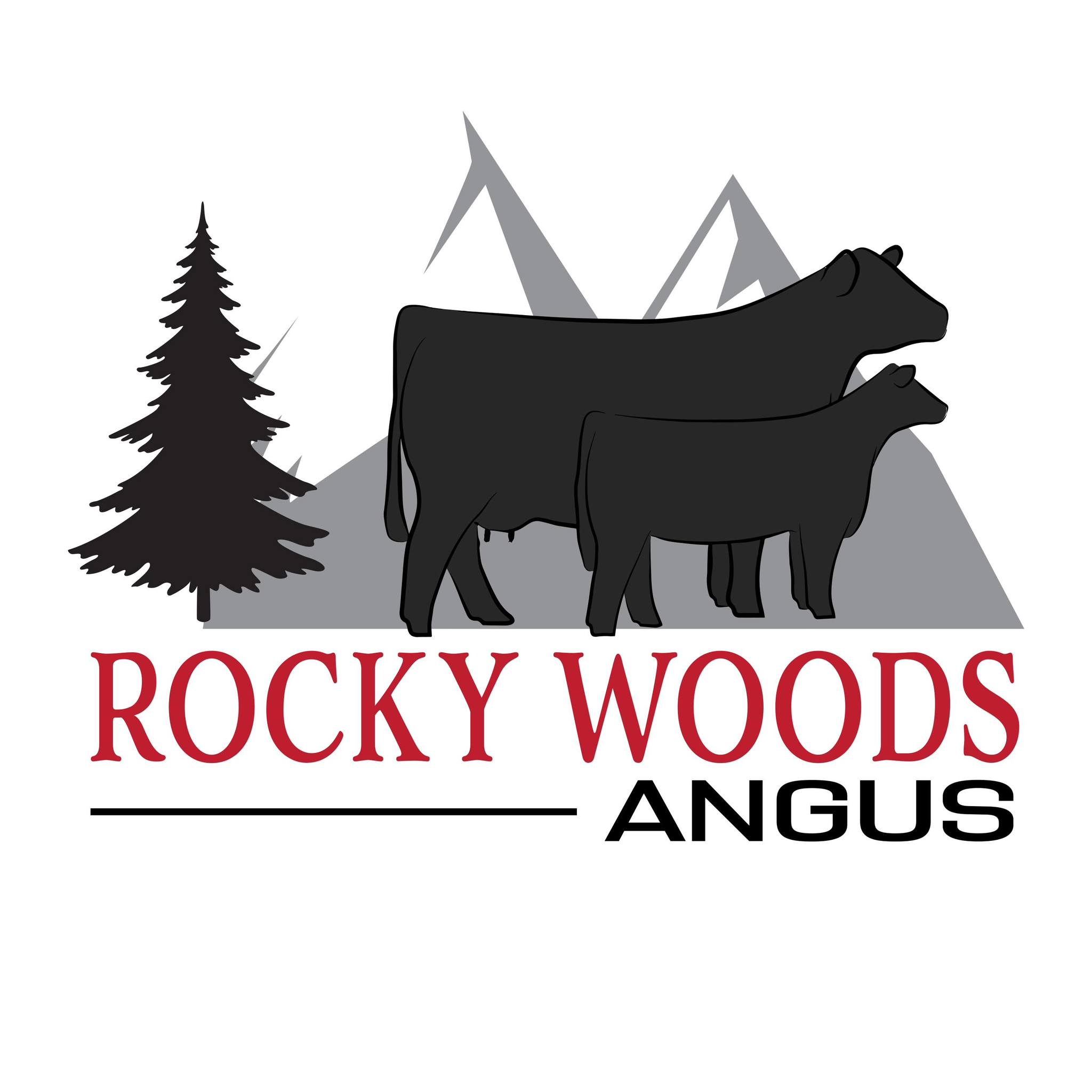 Rocky Woods Angus | Claysville PA