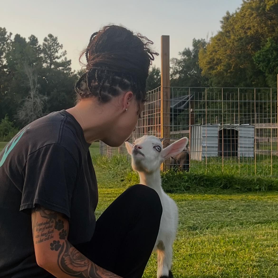 kk farms