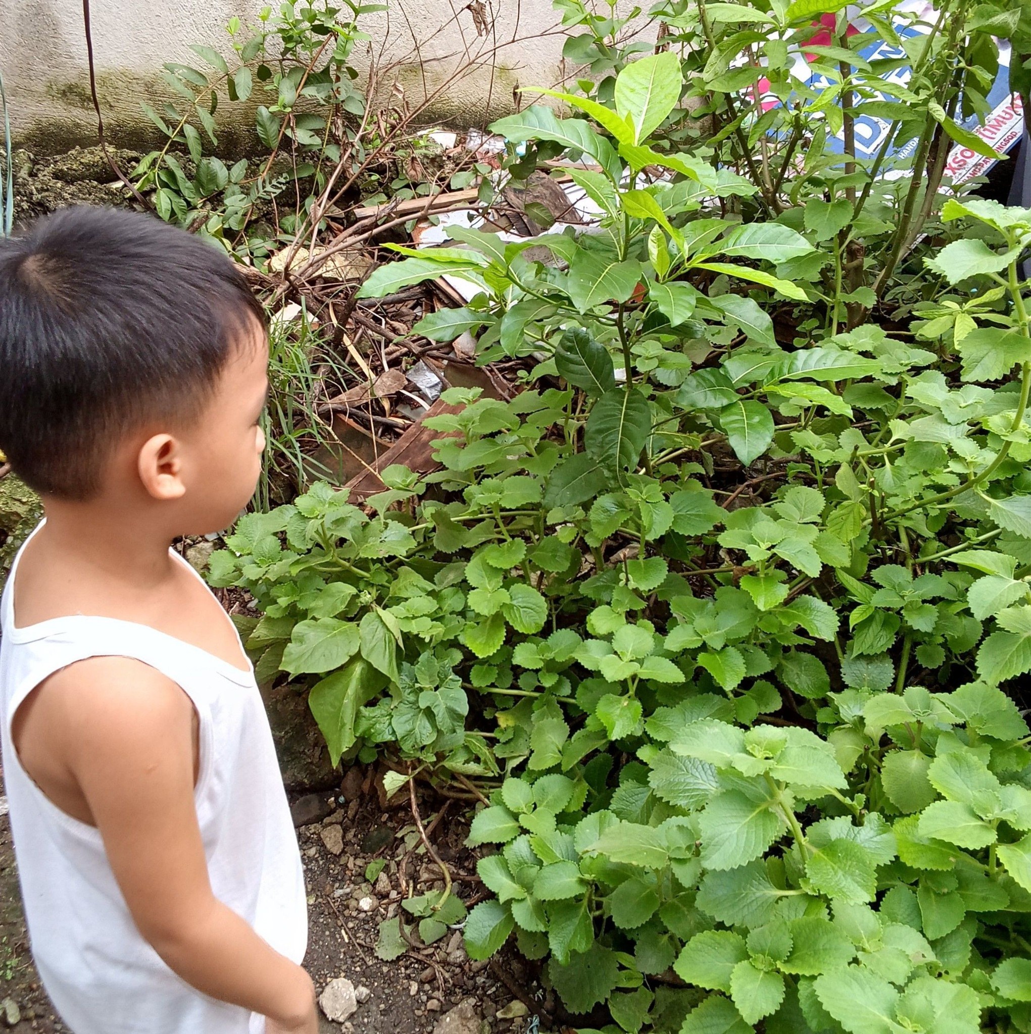 Muntinlupa City News and Updates | Question lang,kapag ba humihingi ng ...