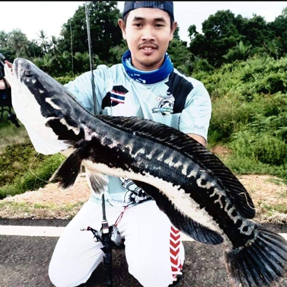 San Fishing Taba