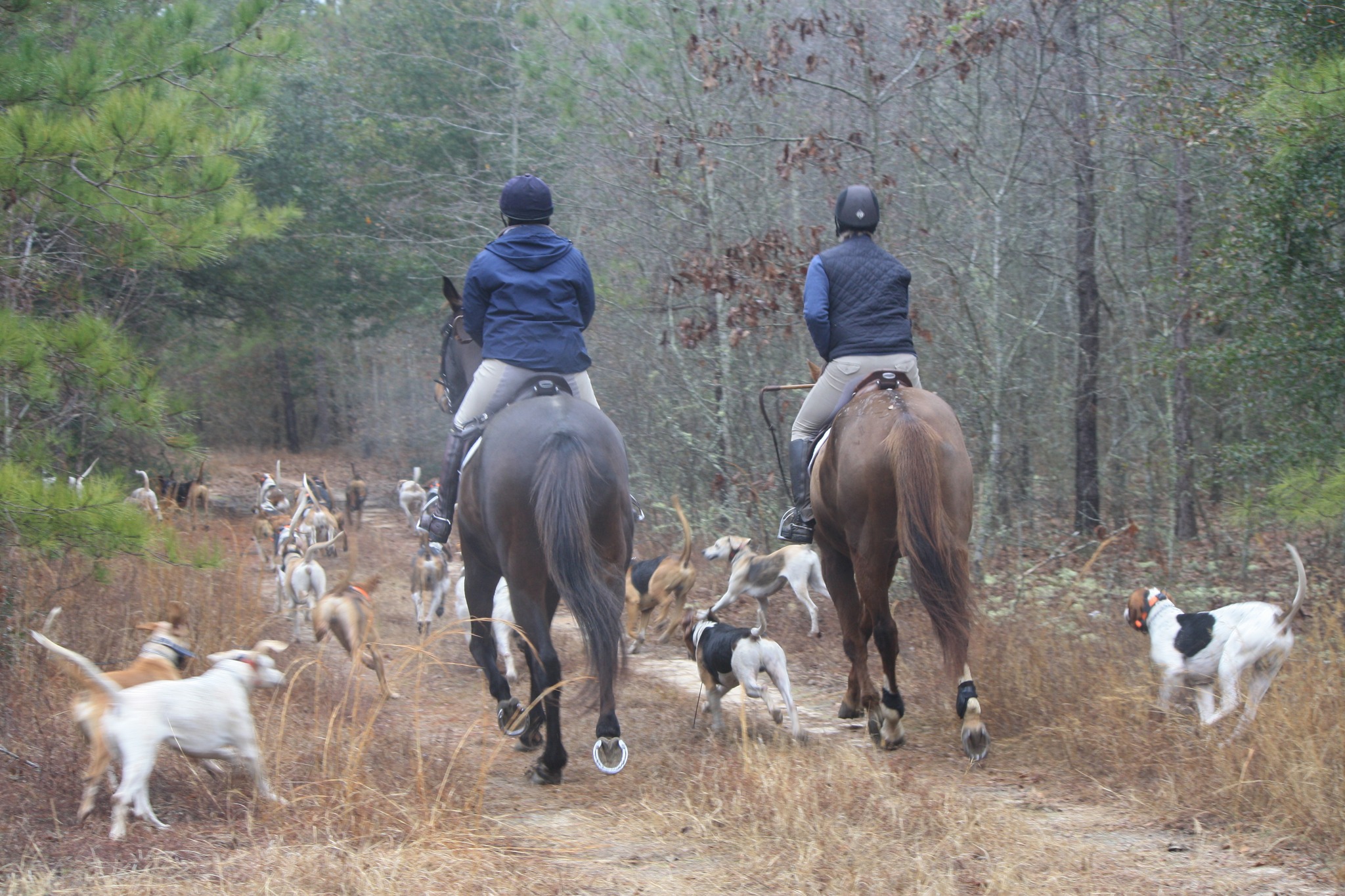Genesee Valley in Salley | Salley SC