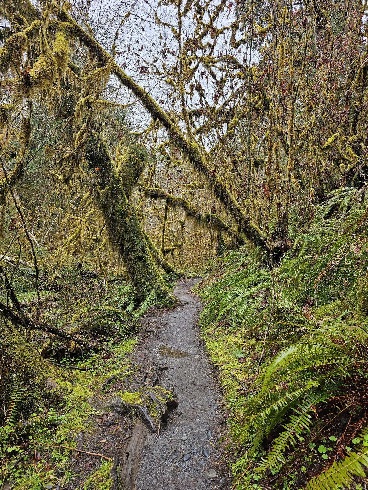PNW Explorer Series