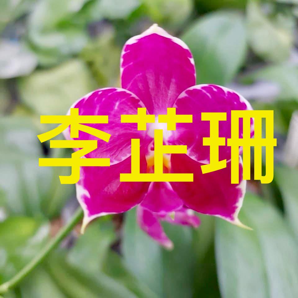 影印機 印表機 事物機器 同行 技術交流 零件交流 | 請問有人知道這台印表機怎麼設定連接手機wifi列印嗎 | Facebook