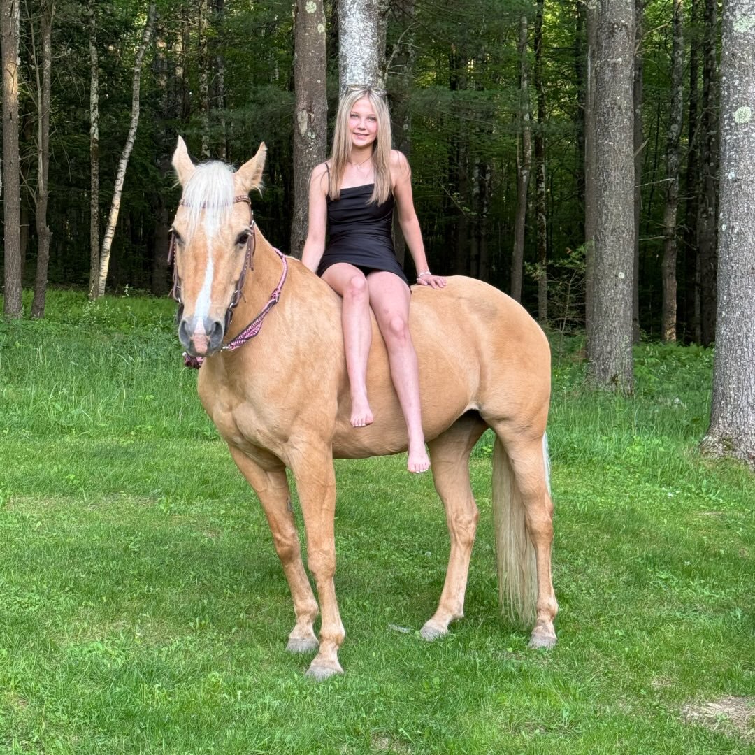 Barrel Racing Tack Swap/Discussion Page | I need opinions, what color ...