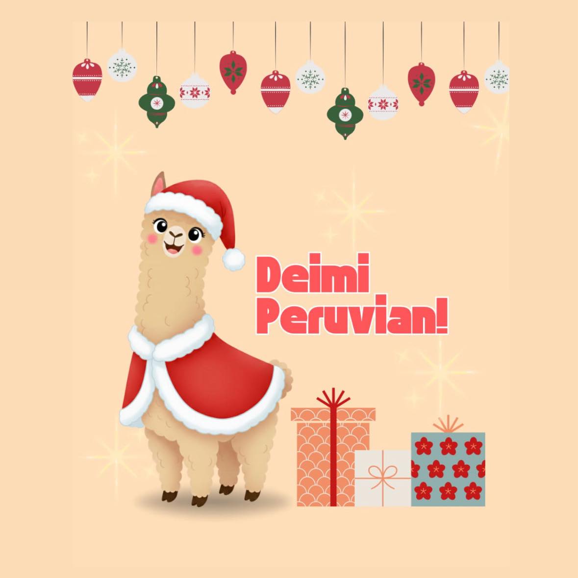 Deimi Peruvian Store | Union City NJ