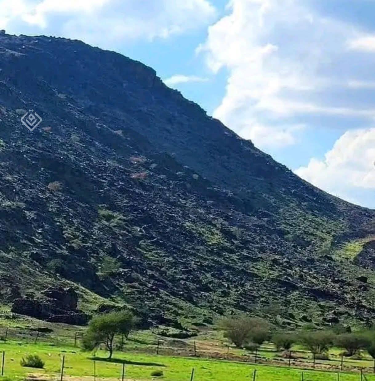 یو اخری غؤرے به خؤورم نو بس توبه کوومه ديګونه نور هم لرے وړم نو بس توبه ...