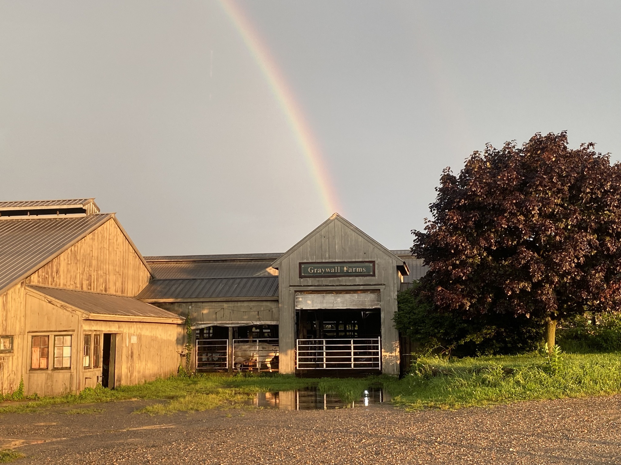 Handfield Dairy - I have received a few calls regarding... | Facebook