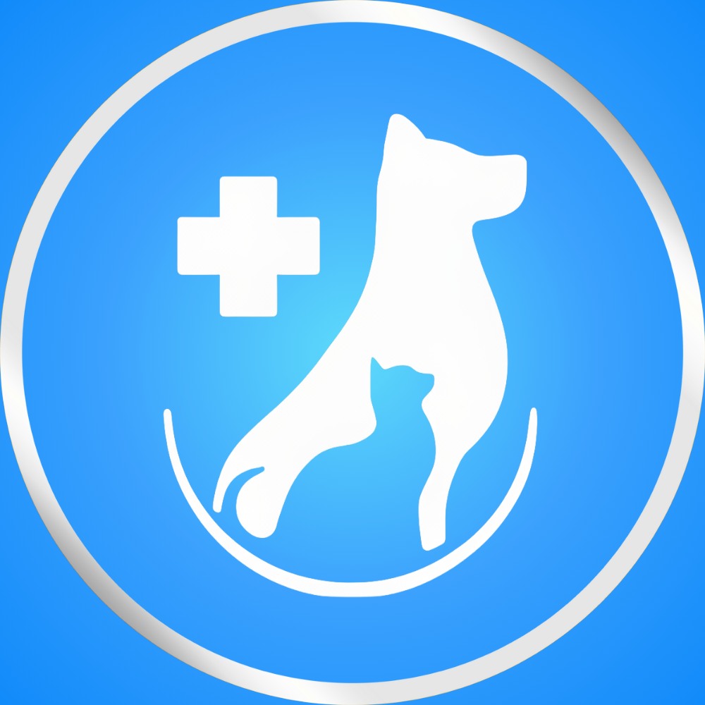 Mr. Pets Clínica Veterinaria y Spa - Cañete