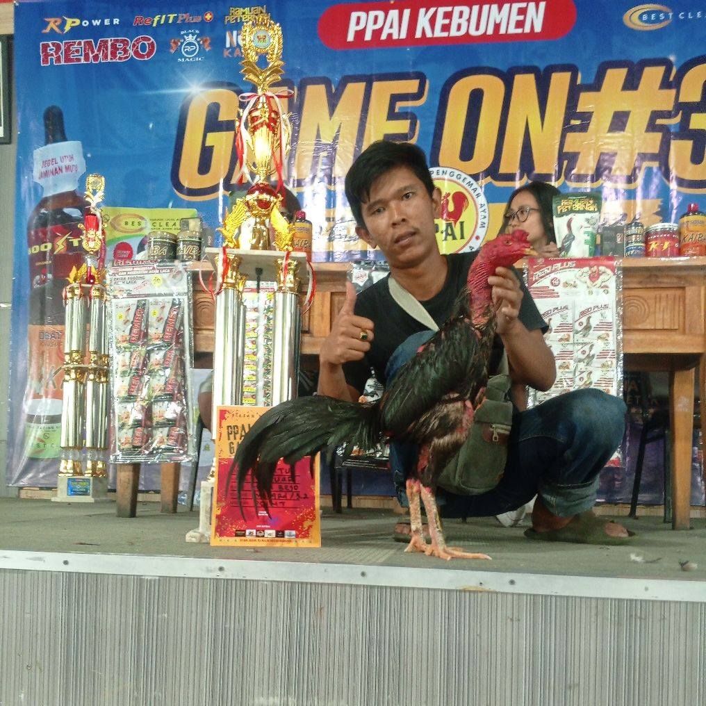 Berkah Asor Jaya Rdsf
