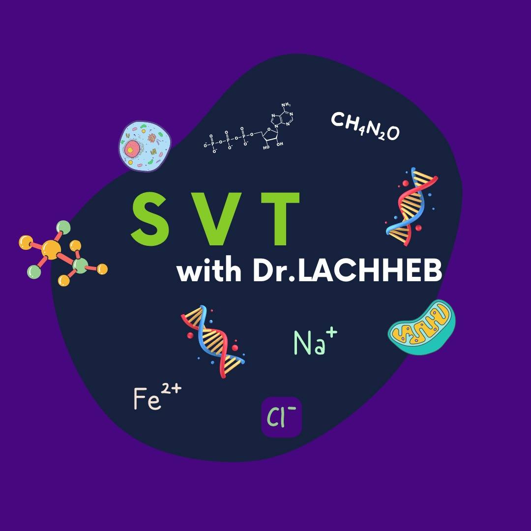SVT with Pr.Dr.LACHHEB
