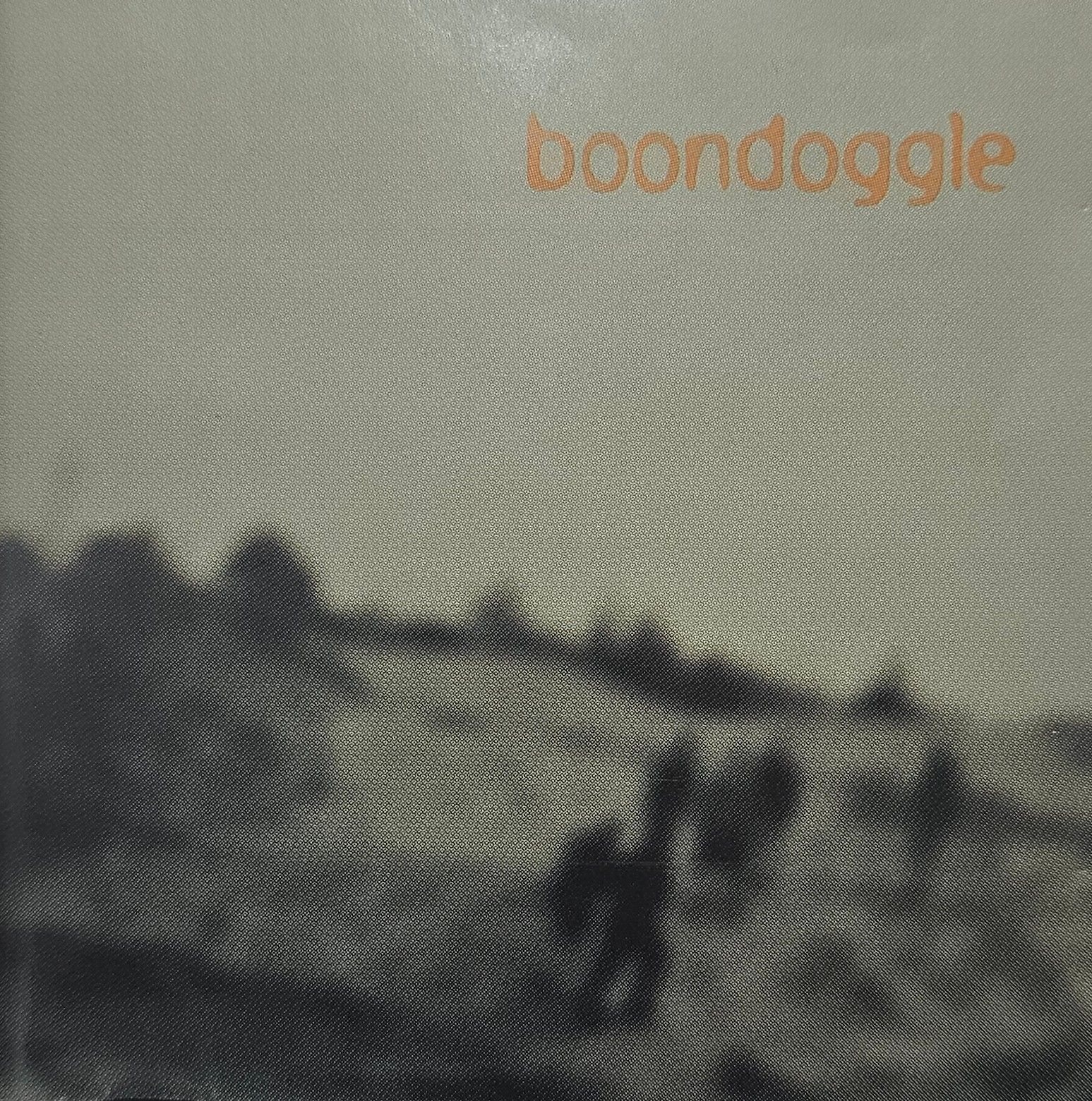 Shane Sawyer - BIG NEWS! My old band, Boondoggle self... | Facebook