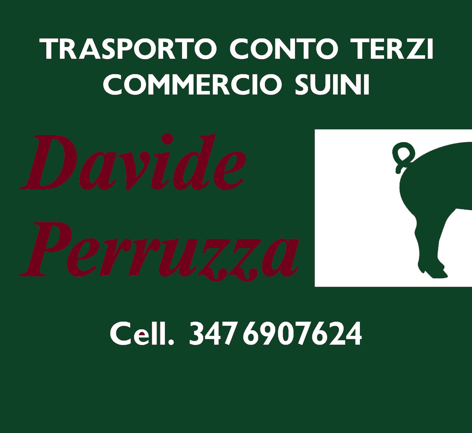 Davide Perruzza commercio suini e trasporto animali vivi | Broccostella