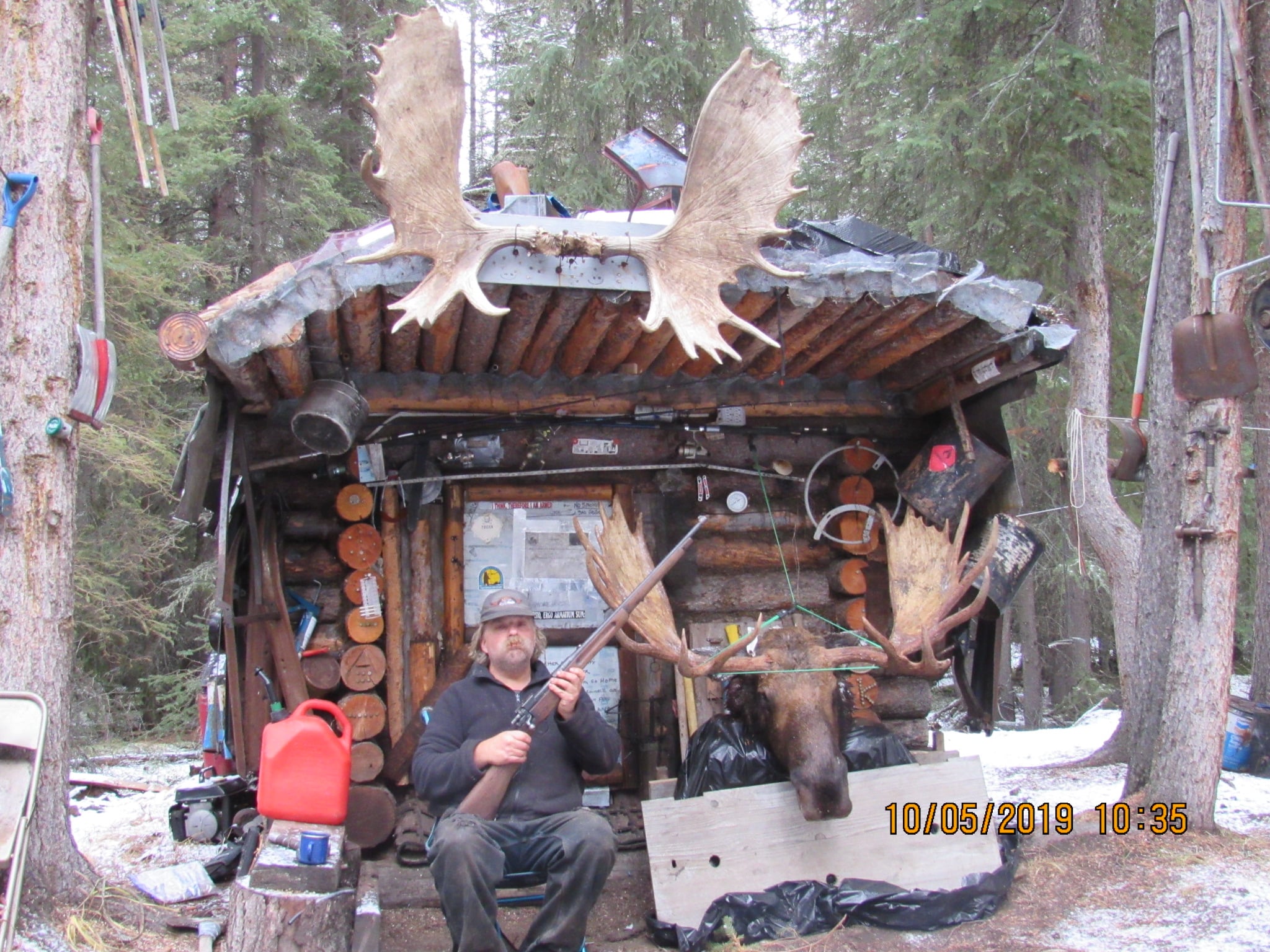 Any one seen this on a moose before? Do you know what it is? | Facebook