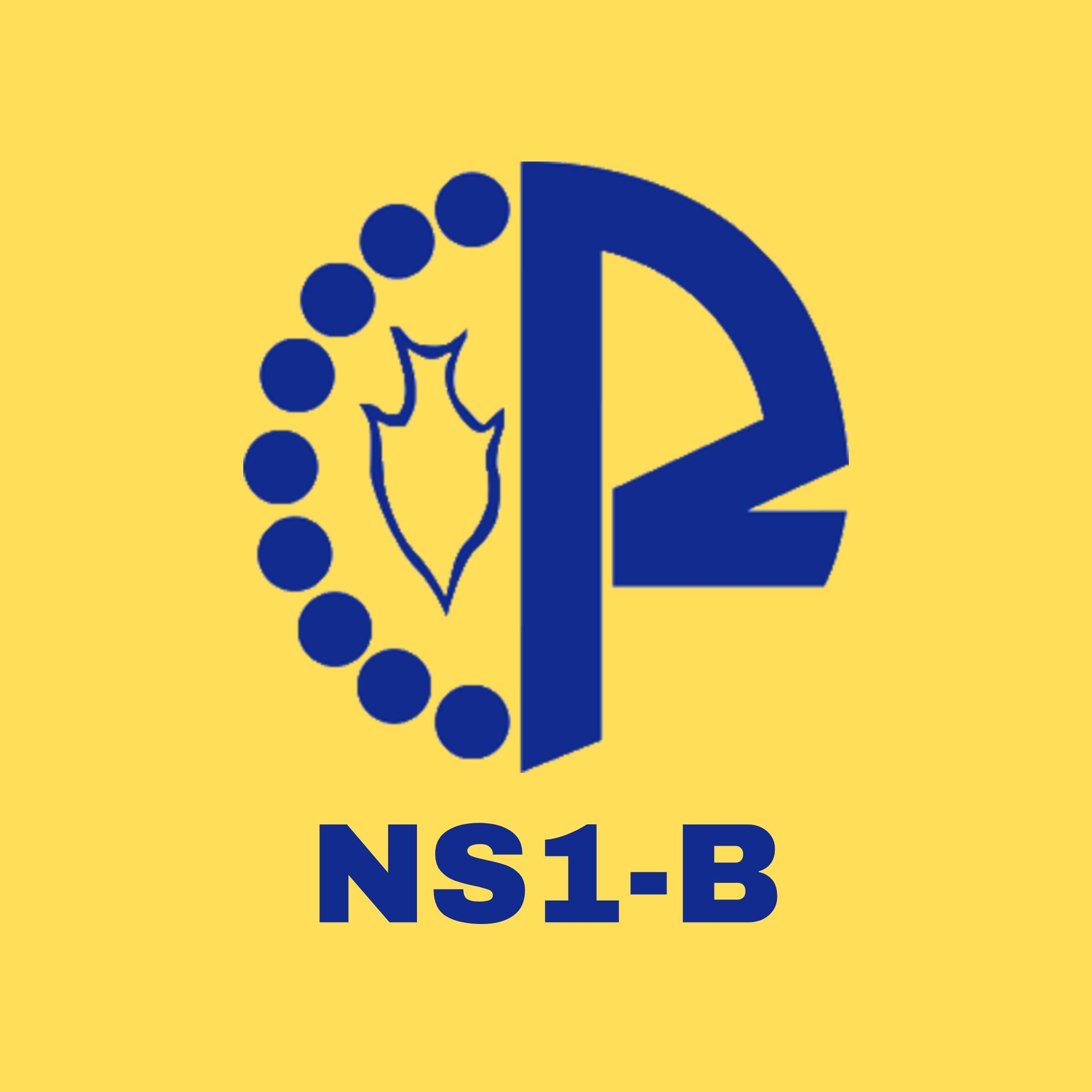 NS1B Fundraising for Alms Fund