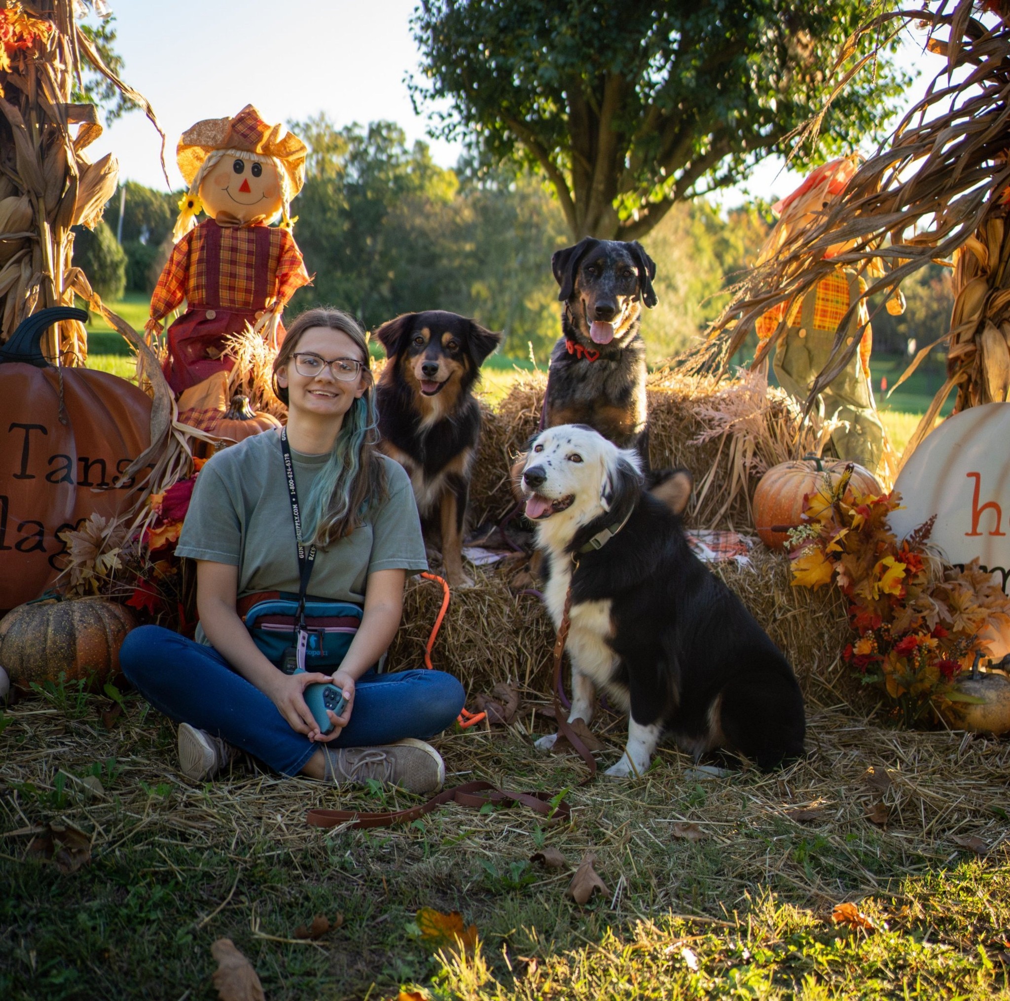 Rocky Top Mountain K9, LLC | “The best way to recover from a vacation ...