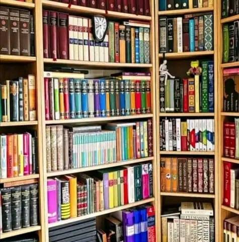 Books plug