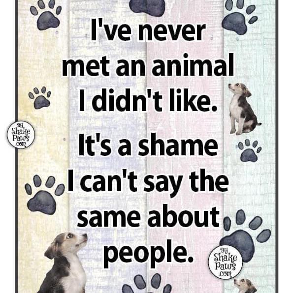Sicko😡 - Christine Borrello Penhollow | Facebook