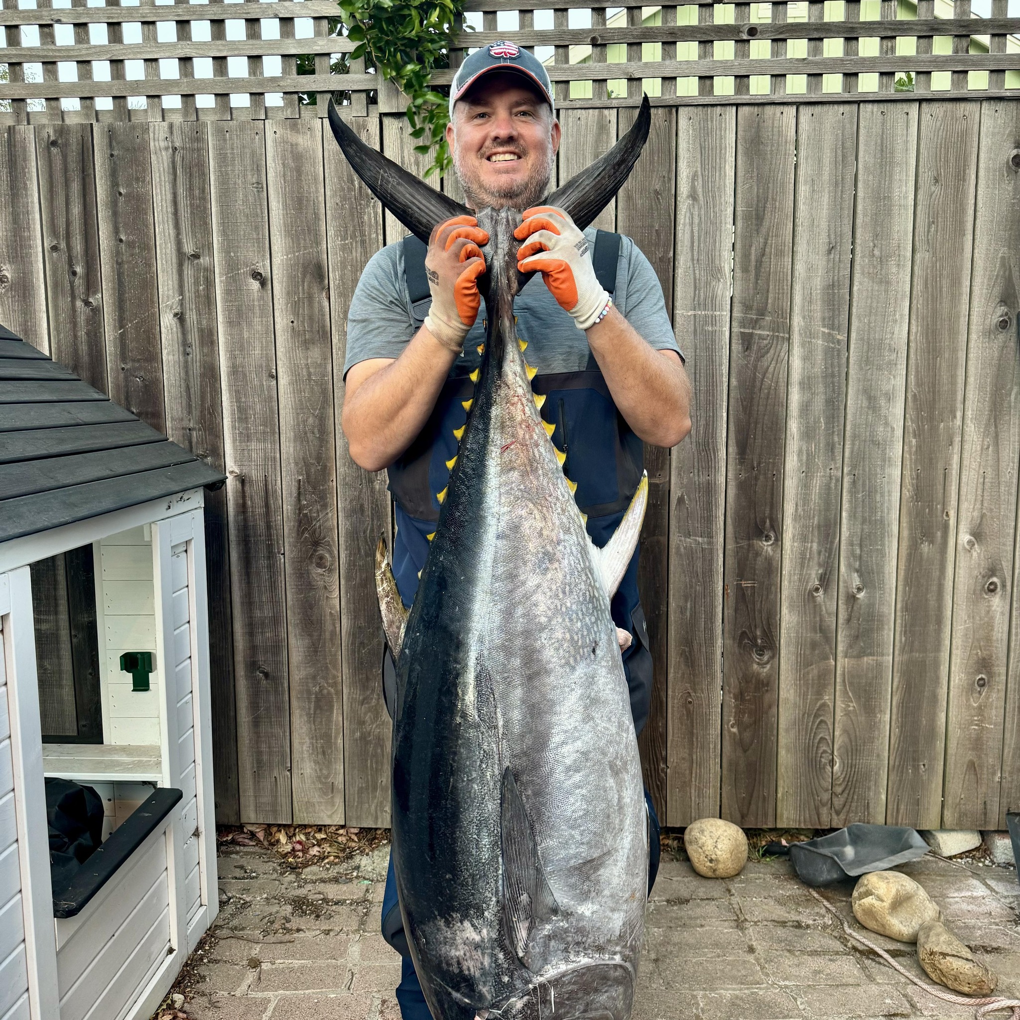 Bodega Bay Fishing Report | Any Tuna reports out of Bodega, warn water ...