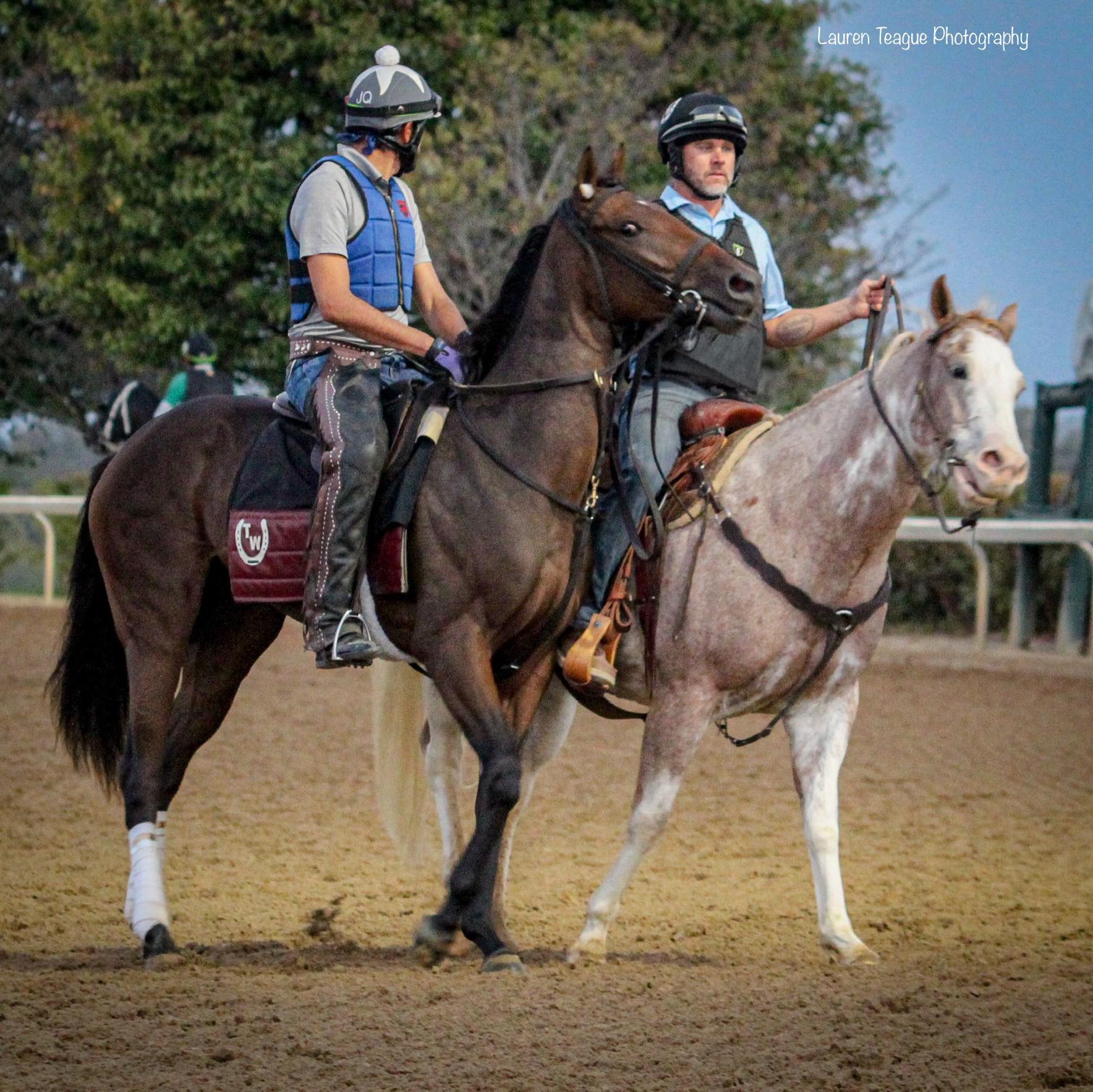 HighPointe Farm and Training Center | Facebook