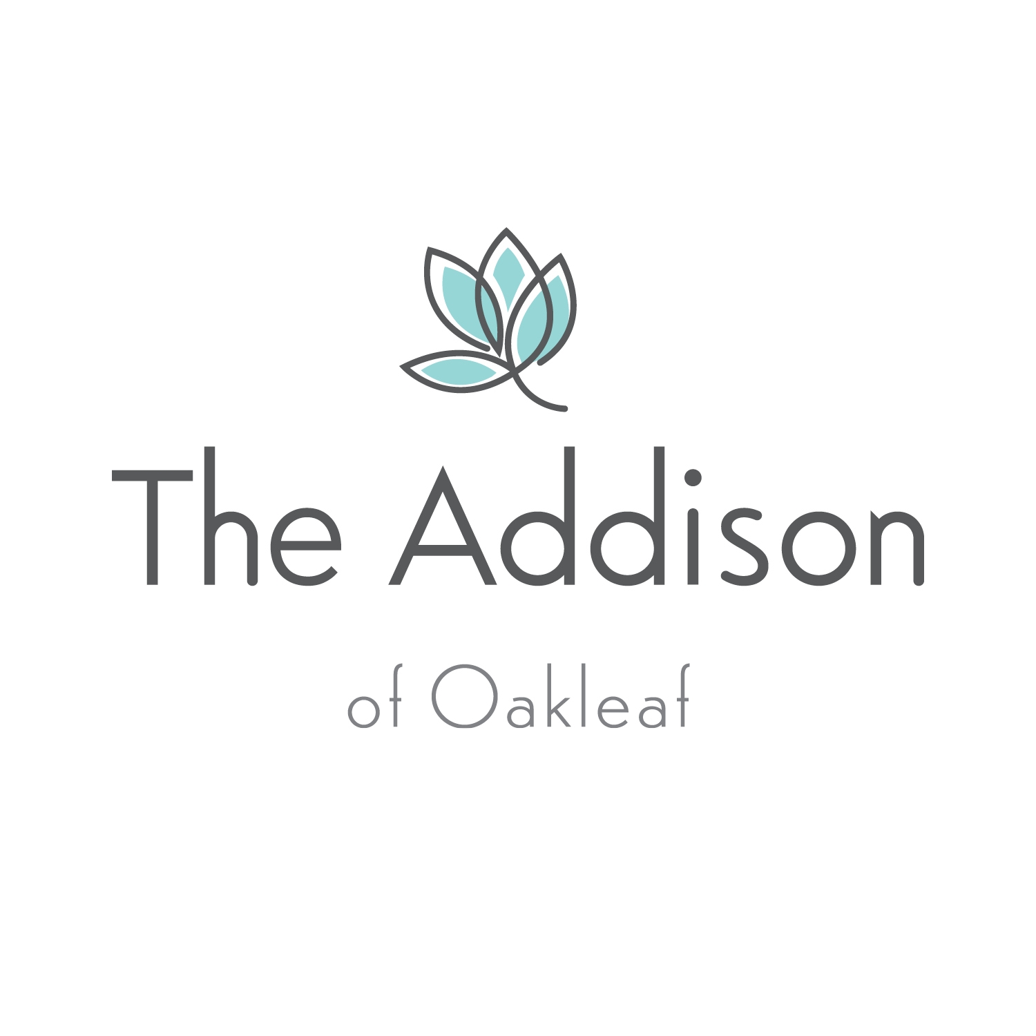 The Addison of Oakleaf | Jacksonville FL