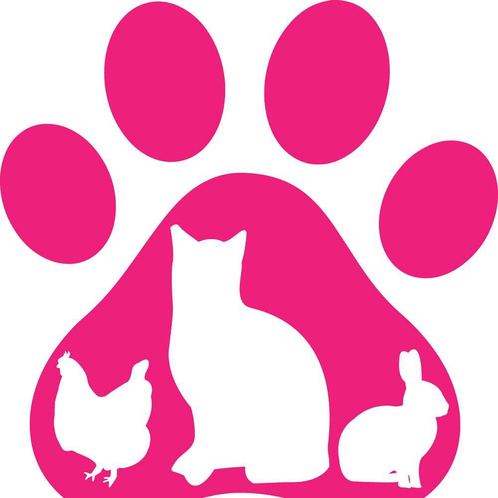 TEMPORARILY... - Lincs Ark cat, kitten and rabbit rescue. | Facebook