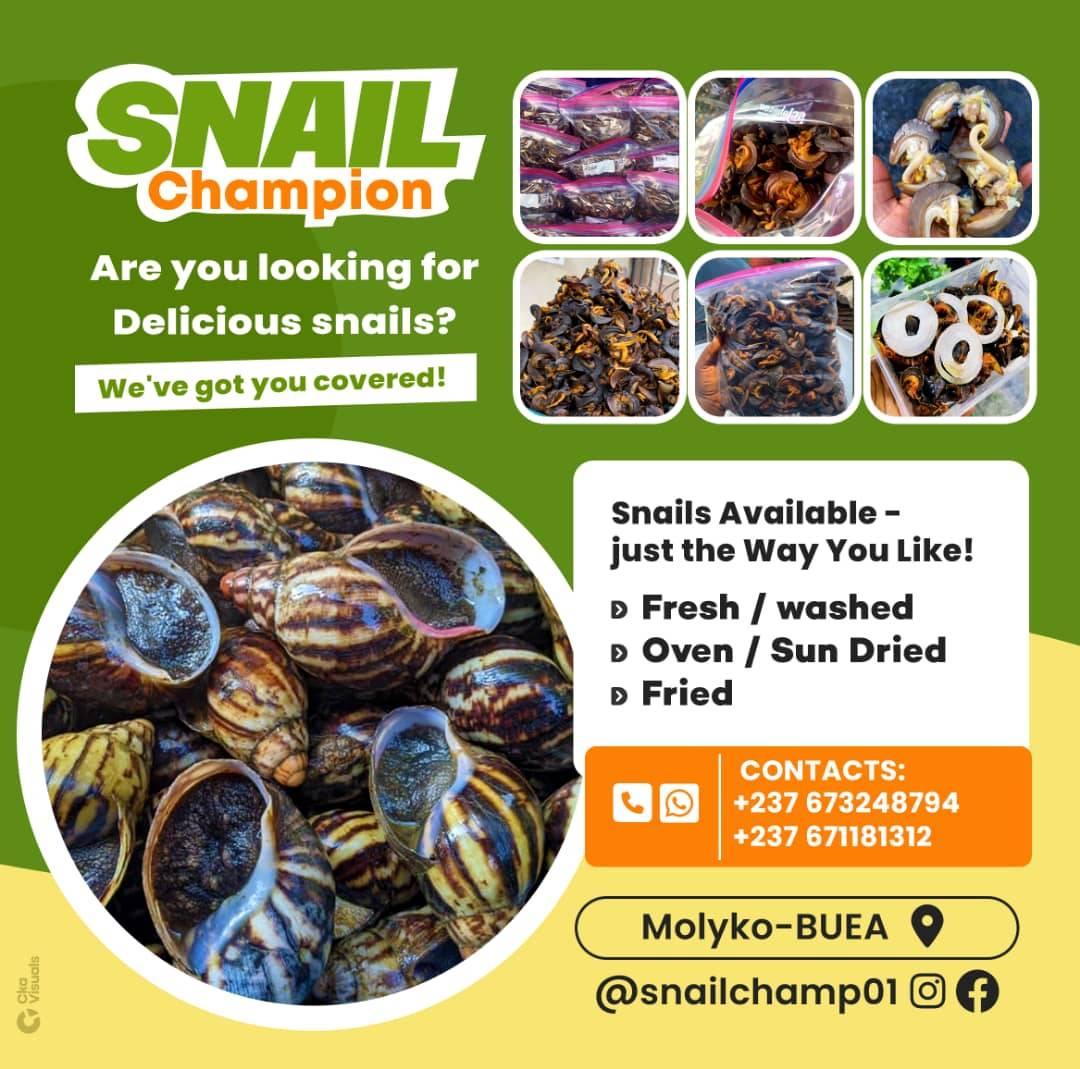 Snail Champion - sales of fresh, dried & fried