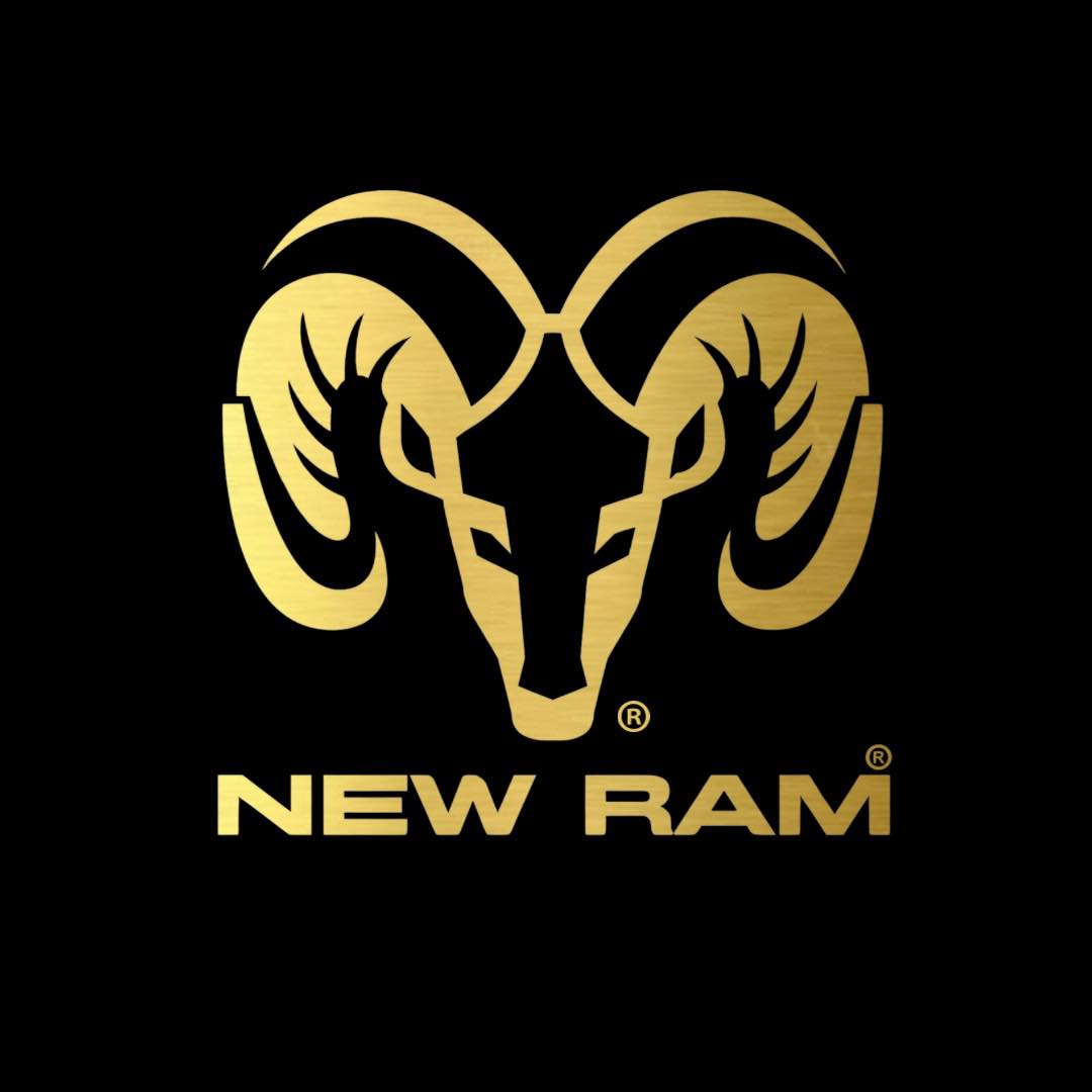 New RAM | San Francisco del Rincón