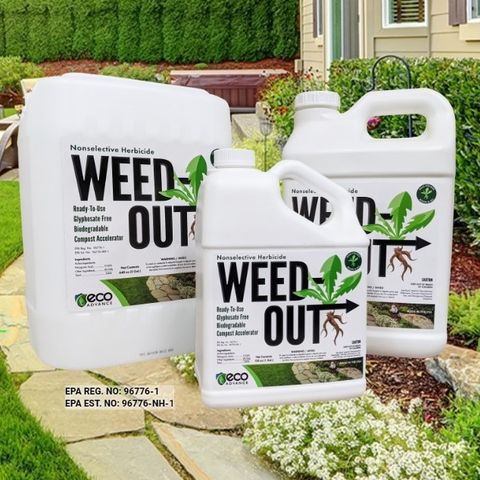WEED OUT - ยาฆ่าหญ้านำเข้าจากสหรัฐอเมริกา | Bangkok