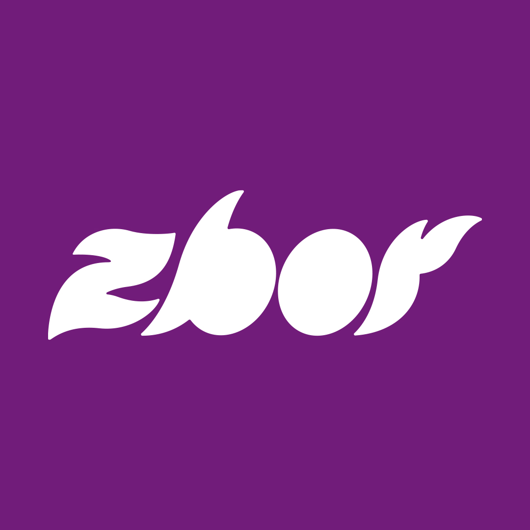 Zbor Hub Baia Mare | Baia Mare
