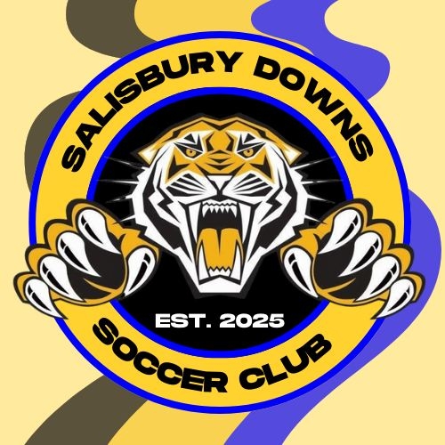 Amateur Football (Soccer) South Australia Facebook Group | Hahn ...