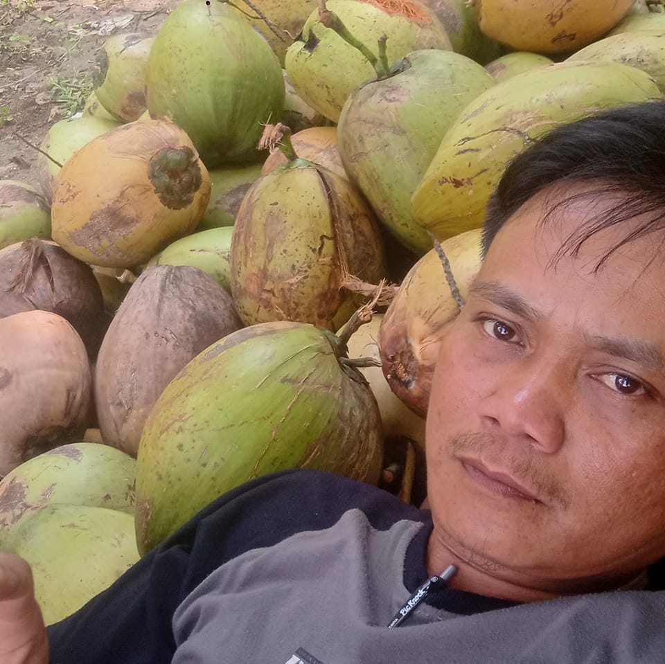 Kokok Be