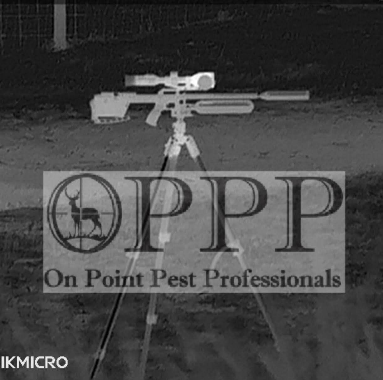 On Point Pest Professionals | Hawkesbury NSW