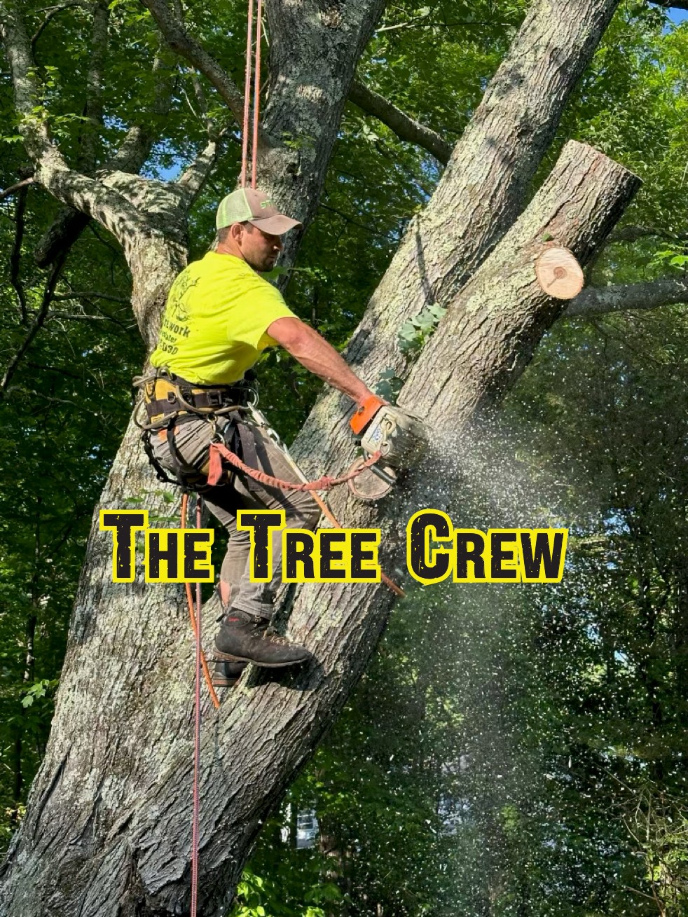 The Tree Crew NY